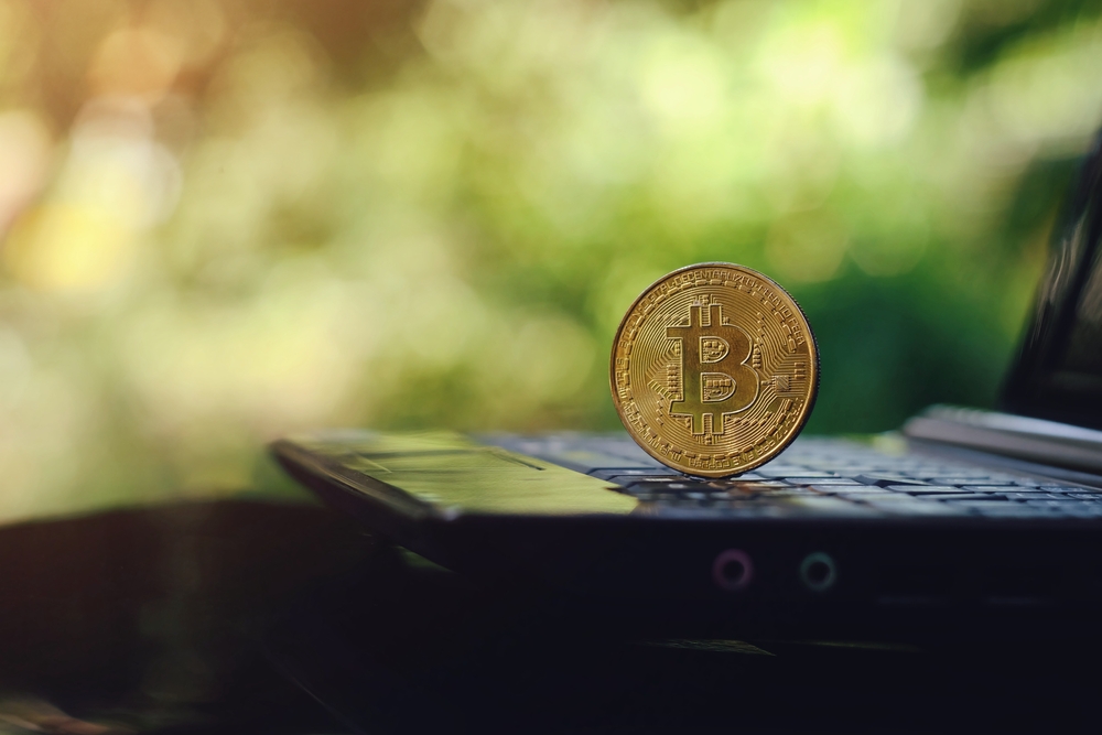 Incorporating Cryptocurrency Payments In e-Commerce Websites