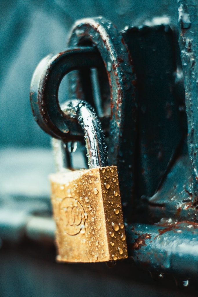 Lock on a door to symbolize the security that a check payment processing company can provide.