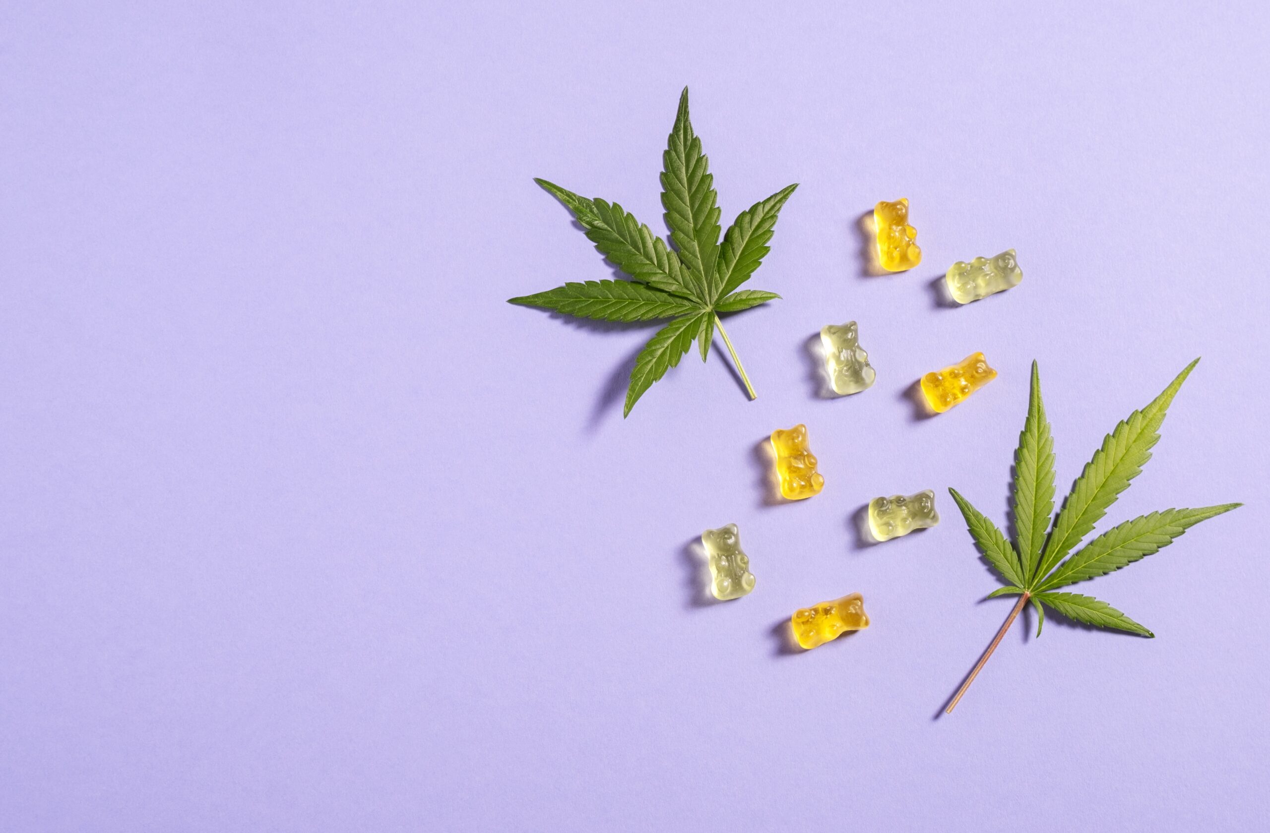 cbd gummies regulations