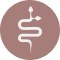 Amaru